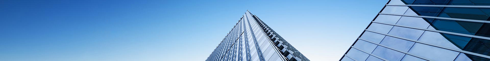 佛山市安迅白蚁防治有限公司